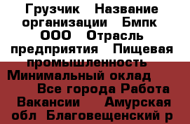 Грузчик › Название организации ­ Бмпк, ООО › Отрасль предприятия ­ Пищевая промышленность › Минимальный оклад ­ 20 000 - Все города Работа » Вакансии   . Амурская обл.,Благовещенский р-н